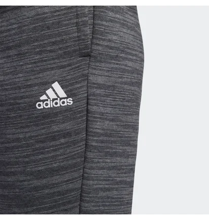 Штани жіночі Adidas Essentials Tape Grey GE1132