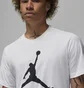 Футболка мужская Air Jordan Jumpman Tee White Cj0921-100