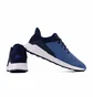 Кроссовки мужские Reebok Ever Road Dm Blue EG1222