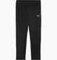 Штани чоловічі Puma Teamgoal Training Black 658642-03