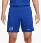 Шорты мужские Nike Shorts Cfc M Nk Df Stad Short Hm 2023/24 Blue DX2706-495