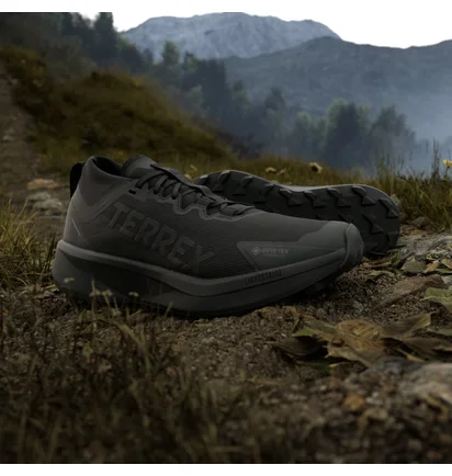Кросівки чоловічі Adidas Terrex Agravic Gtx Black JR5240