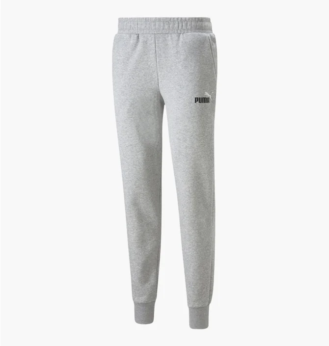 Штаны мужские Puma Essentials+ 2 Col Logo Grey 586767-04