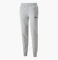 Штаны мужские Puma Essentials+ 2 Col Logo Grey 586767-04