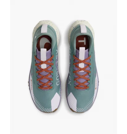 Кросівки жіночі Nike Pegasus Trail 4 Gore-Tex Waterproof Trail Running Shoes Green HF5027-361