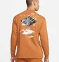 Лонгслив мужской Air Jordan Mens 85 Long-Sleeve T-Shirt Orange DH8962-241