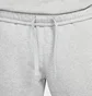 Штаны мужские Nike Nsw Sp Flc Jogger Grey FN0246-064
