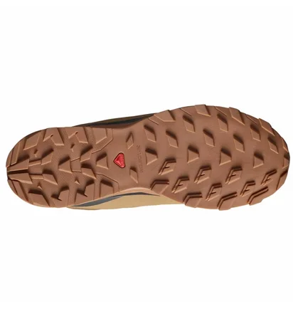 Ботинки мужские Salomon Outblast Ts Cswp Brown 473825