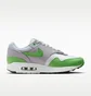 Кросівки чоловічі Nike Air Max 1 Patta 20Th Grey/Green HF1012-300