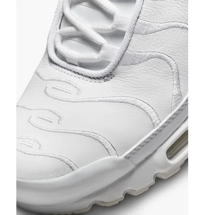 Кроссовки мужские Nike Air Max Plus White Aj2029-100