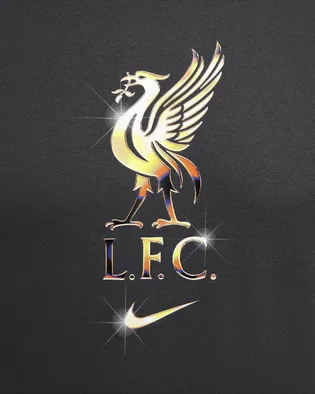 Футболка мужская Nike Lfc Nk Crest Grey HQ0266-070