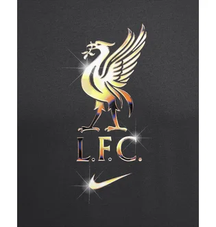 Футболка мужская Nike Lfc Nk Crest Grey HQ0266-070