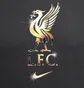 Футболка мужская Nike Lfc Nk Crest Grey HQ0266-070