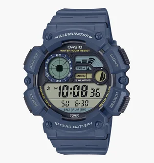 Часы мужские Casio Timeless Collection WS-1500H-2A