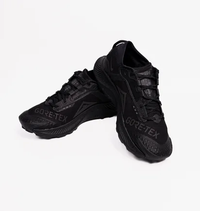 Кроссовки мужские Nike Pegasus Trail 3 Gtx Black DC8793-001