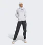 Штаны женские Adidas Terrex Liteflex Hiking Tracksuit Bottoms Black Hn2951