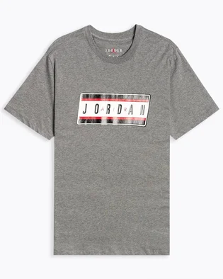 Футболка чоловіча Air Jordan Sticker Grey CJ6246-091
