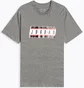 Футболка чоловіча Air Jordan Sticker Grey CJ6246-091
