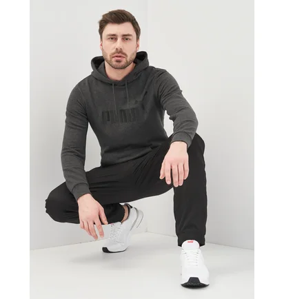 Худи мужское Puma Ess Big Logo Hoodie Grey 58668807