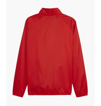 Олимпийка мужская Puma Teamgoal Allwetterjacke Rot F01 Red 659038-01