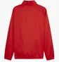 Олимпийка мужская Puma Teamgoal Allwetterjacke Rot F01 Red 659038-01