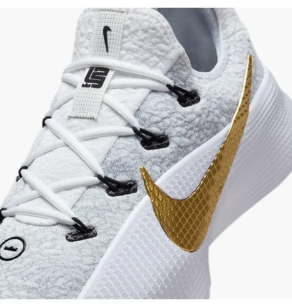 Кросівки чоловічі Nike Lebron Tr 1 Grey FJ6151-006