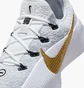Кросівки чоловічі Nike Lebron Tr 1 Grey FJ6151-006