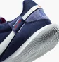 Футзалки унісекс Nike Streetgato Violet DC8466-500