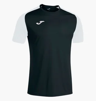 Футболка мужская Joma Academy Iv Black 101968.102