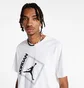 Футболка чоловіча Air Jordan M J Jumpman Box Ss Crew White DA9900-100