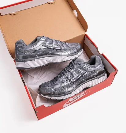 Кросівки чоловічі Nike P-6000 Metallic CD6404-023
