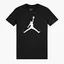 Футболка мужская Air Jordan Jumpman Ss Crew Black CJ0921-011