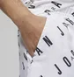 Шорты мужские Air Jordan Essentials White DX9673-100