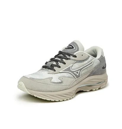 Кросівки чоловічі Mizuno Wave Rider Beta Gtx Grey D1GA245501