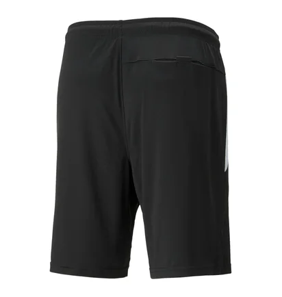 Шорты мужские Puma Teamliga Referee Shorts Black 705453-03
