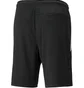 Шорты мужские Puma Teamliga Referee Shorts Black 705453-03