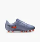 Бутси дитячі Nike Legend 10 Club Fg/Mg Grey DV4352-402