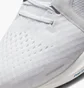 Кросівки чоловічі Nike Mens Road Running Shoes Grey Da7245-101