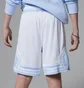Шорты мужские Air Jordan Sport Dri-Fit Diamond Light Blue 95D313-J3H