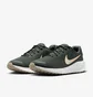 Кросівки жіночі Nike W Revolution 7 Green FB2208-300