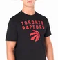 Футболка чоловіча NEW ERA Raptors Black 60505469