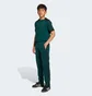 Штани дитячі Adidas Adicolor Firebird Green JV8593