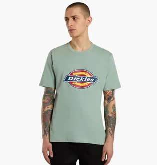 Футболка унисекс Dickies Icon Logo Turquoise DK0A4XC9K361
