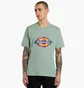 Футболка унісекс Dickies Icon Logo Turquoise DK0A4XC9K361