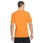 Футболка чоловіча Nike Dri-Fit Orange AR6029-886