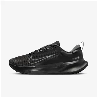 Кроссовки мужские Nike Juniper Trail 2 Gore-Tex Black FB2067-001