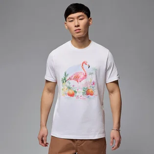 Футболка чоловіча Air Jordan Ess Flamingo Ss Crew White HJ2399-100