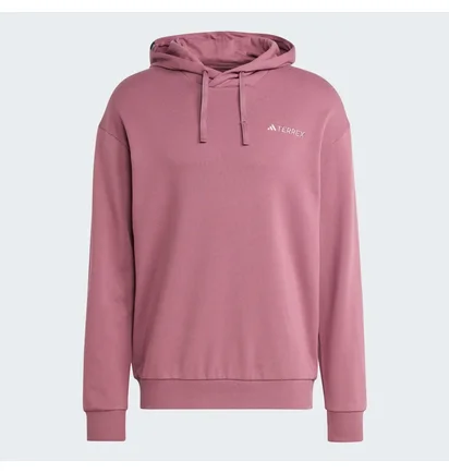 Худи мужское Adidas Terrex Logo Hoodie Violet IN4715
