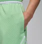 Шорты мужские Air Jordan Sport Dri-Fit Shorts Green HF9910-376