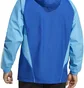 Олімпійка чоловіча Adidas Hooded Jacket Tiro23 C Aw Jk Blue/Light Blue IC4572